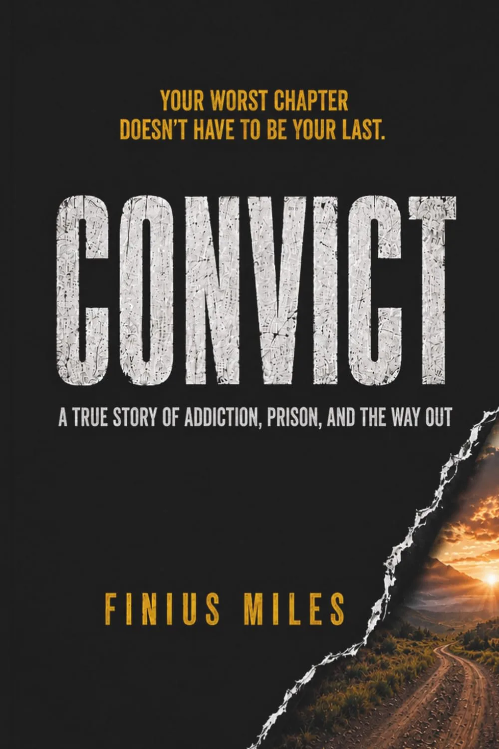 Convict book cover