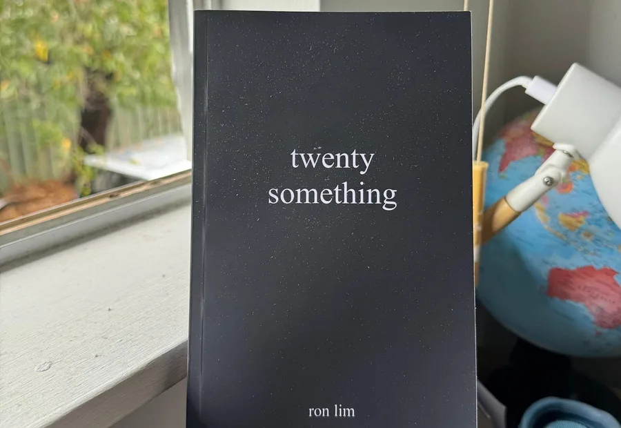 Twenty Something book standing near a window